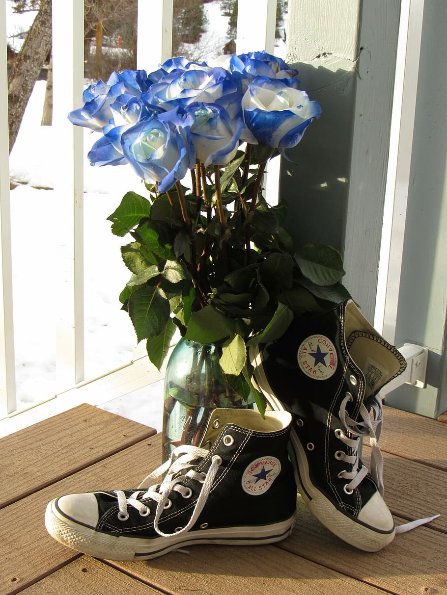 roses, bouquet, blue rose, shoes, converse, flower, all stars, sunlight, light, shine
