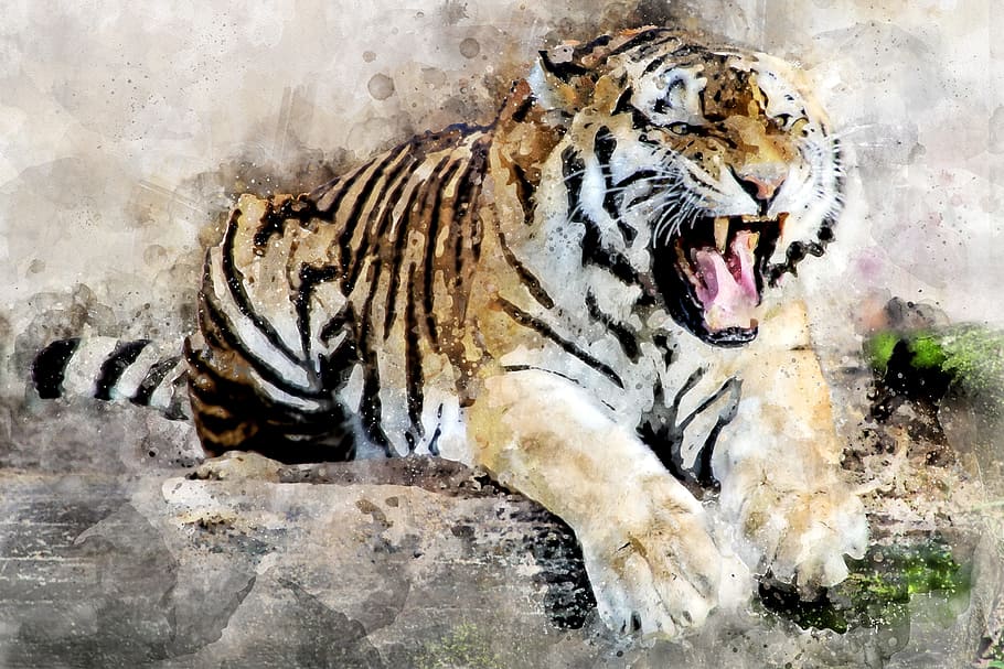white, brown, painting, tiger, predator, animal, tooth, roar, dangerous, aggressive