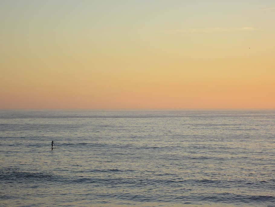 surfista, océano, puesta de sol, persona, deporte, ejercicio, diversión, gimnasio, agua, mar