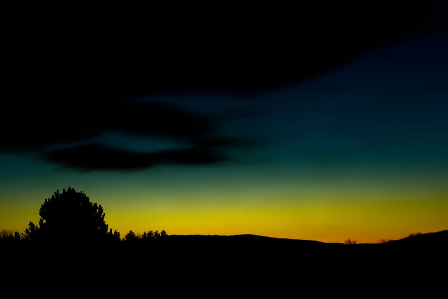 silhouette, tree, sunrise, photography, susnet, dark, dusk, night, sky, yellow