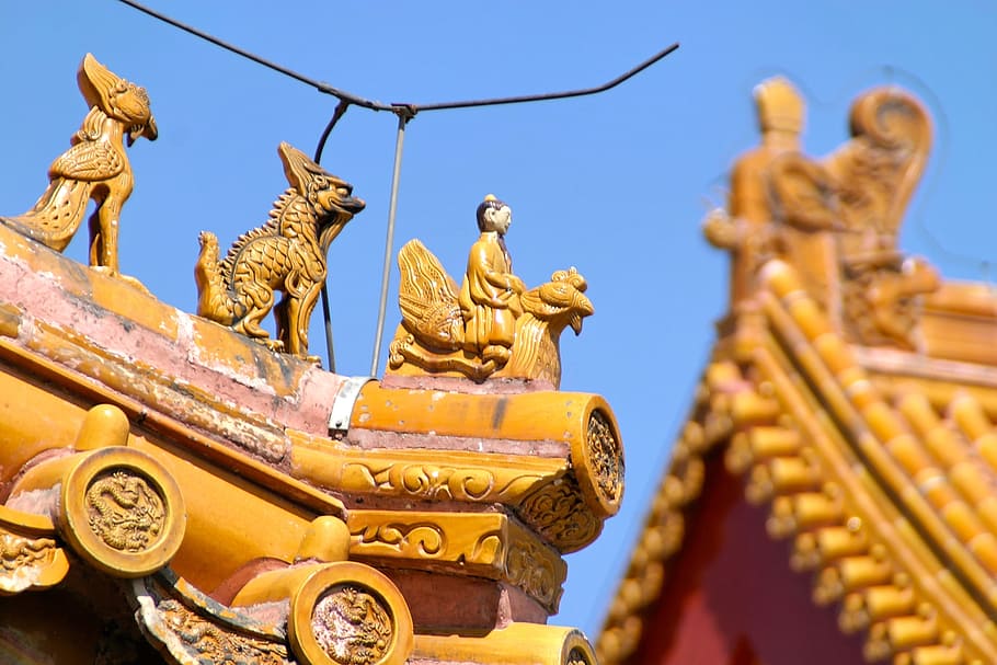 techo de pagoda marrón, techo, china, dragón, ciudad prohibida, arquitectura, beijing, palacio, ornamento, escultura