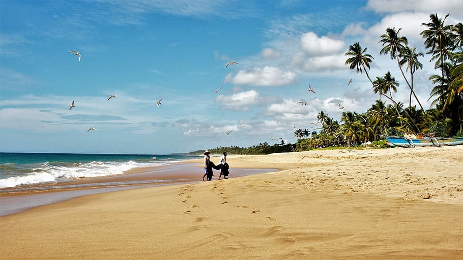 two, persons, walking, brown, sand, body, water, daytime, sri lanka, palm trees