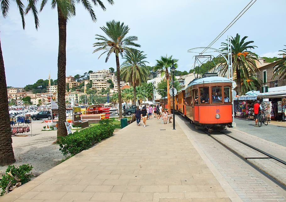 mallorca, port de sóller, promenade, tram, palm trees, mode of transportation, transportation, city, tree, palm tree