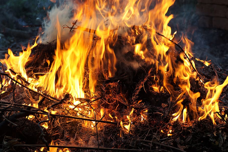 api, api unggun, elemen, pembakaran, penyihir, kue, api - fenomena alam, suhu panas, Bercahaya, alam