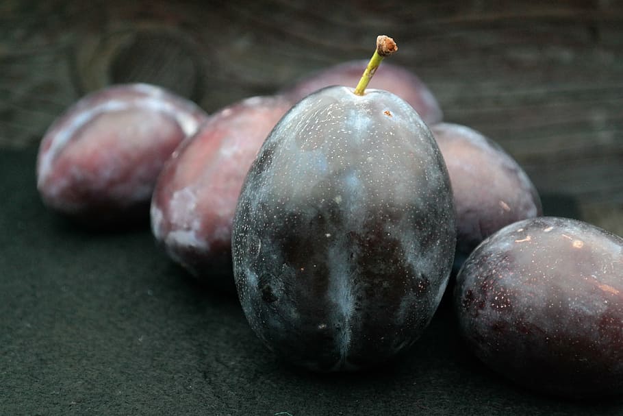 grape fruit, real plums, plums, large, huge, fruit, prunus domestica subsp domestica, plum, prunus domestica, cultural plum