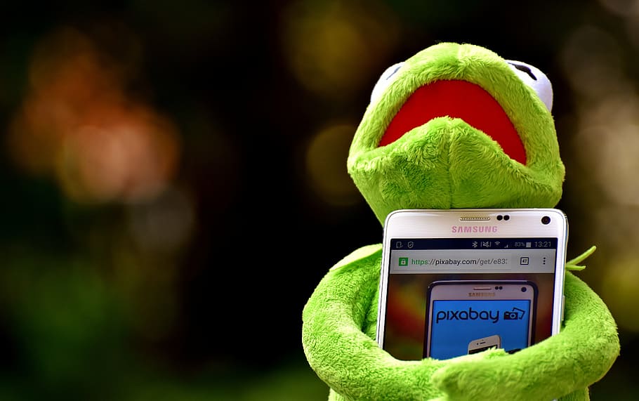 selective, focus photography kermit, frog, hogging, white, samsung android smartphone, turned, kermit, smartphone, pixabay