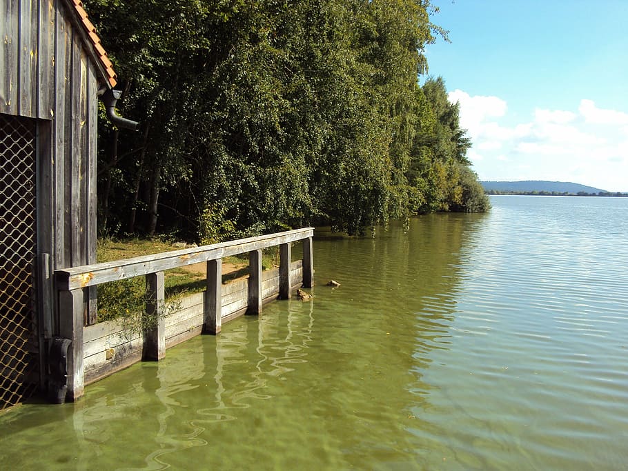 lake constance, web, boat house, water, tree, plant, beauty in nature, nature, tranquility, tranquil scene