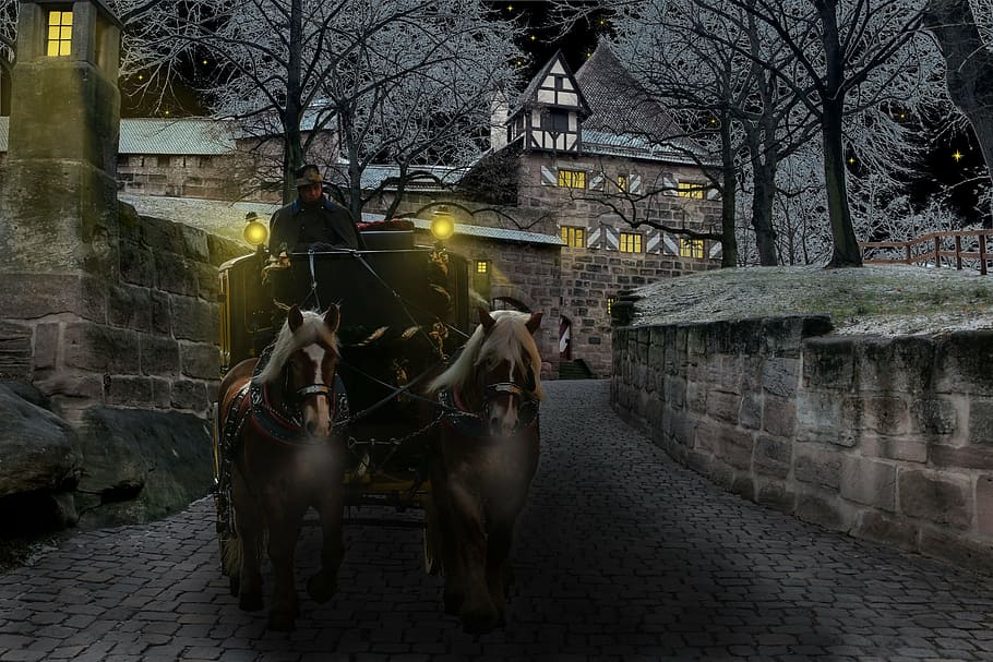 brown, black, carriage illustration, winter, coach, castle, cold, surreal, horses, night