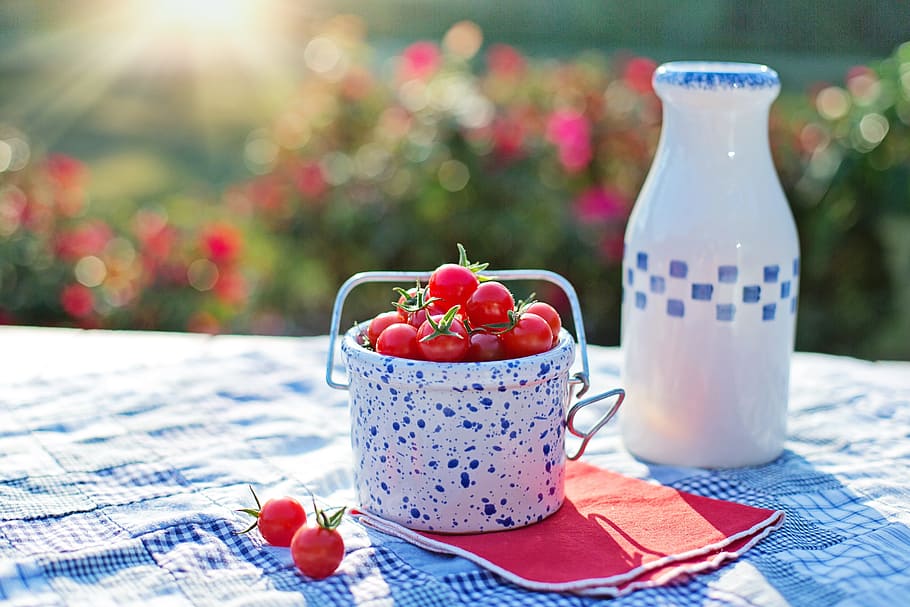 red, cherries, white, blue, ceramic, bucket, cherry tomatoes, tomatoes, ripe, food