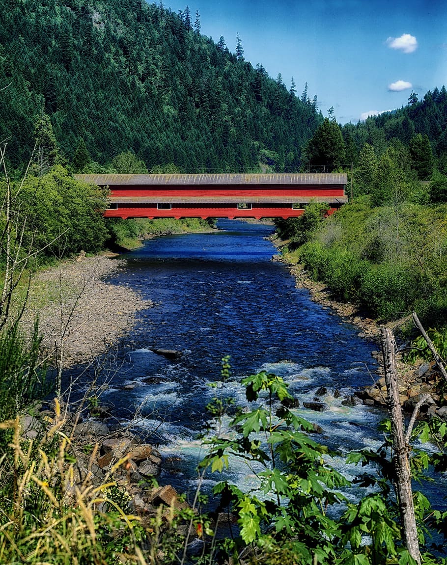 Oregon, Landscape, Scenic, covered bridge, mountains, forest, trees, nature, outside, stream