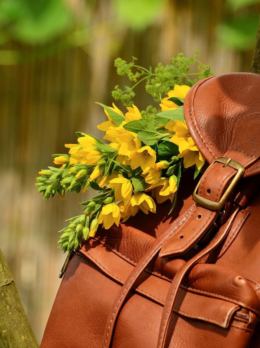 selective, focus, leather backpack, flowers, backpack, brown leather, closure, buckle, leather seam, readers were