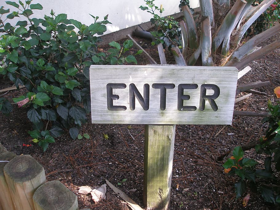enter sign, enter, post, sign, symbol, text, banner, communication, western script, plant