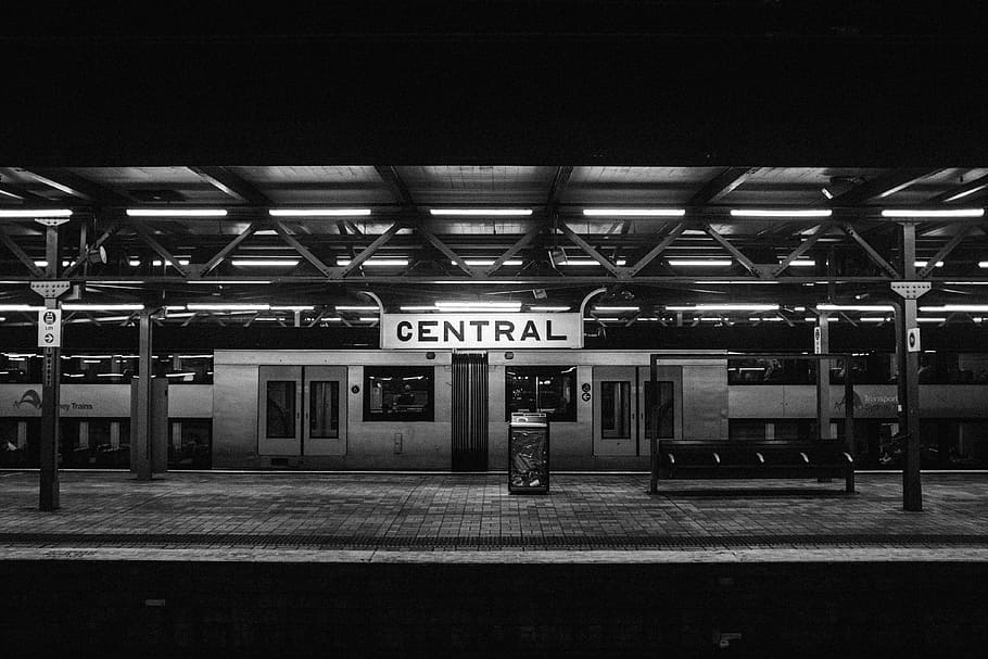 grayscale photo, central, concrete, building, grayscale, train, station, subway, transportation, city