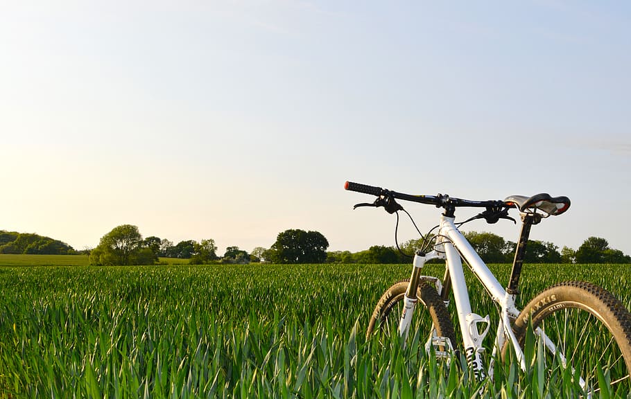 bicicleta, verde, hierba, hojas, deporte, hobby, árboles, Campo, tierra, planta