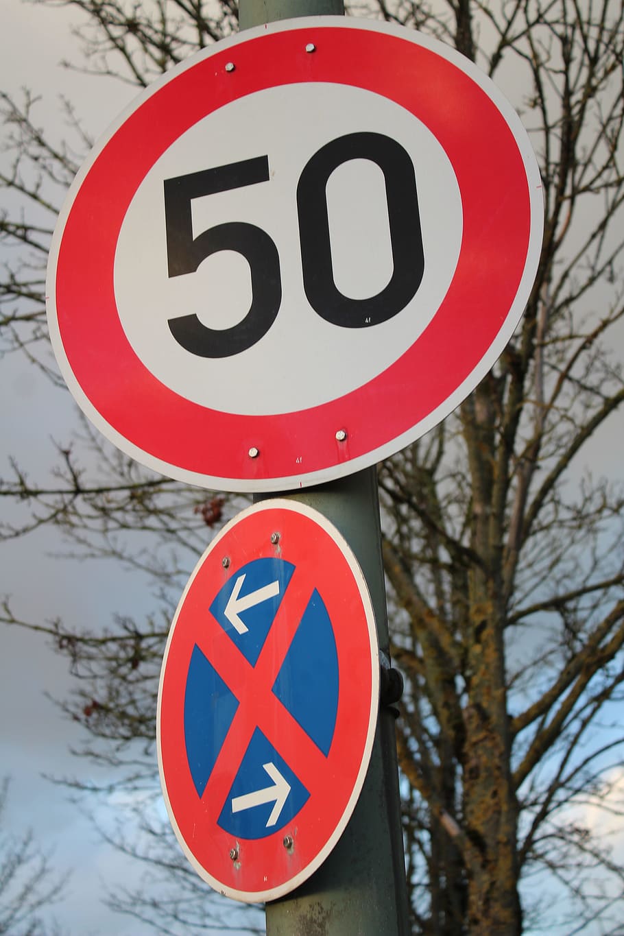 señal de tráfico, sobre, escudo, rojo, tráfico, señal de calle, 50 kmh, velocidad, limitación de velocidad, límite de velocidad