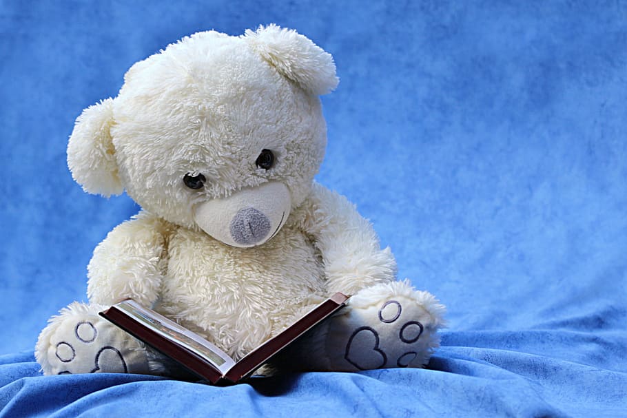 blanco, oso, felpa, juguete, naturaleza muerta, peluche, leer, libro, fondo azul, oso de peluche