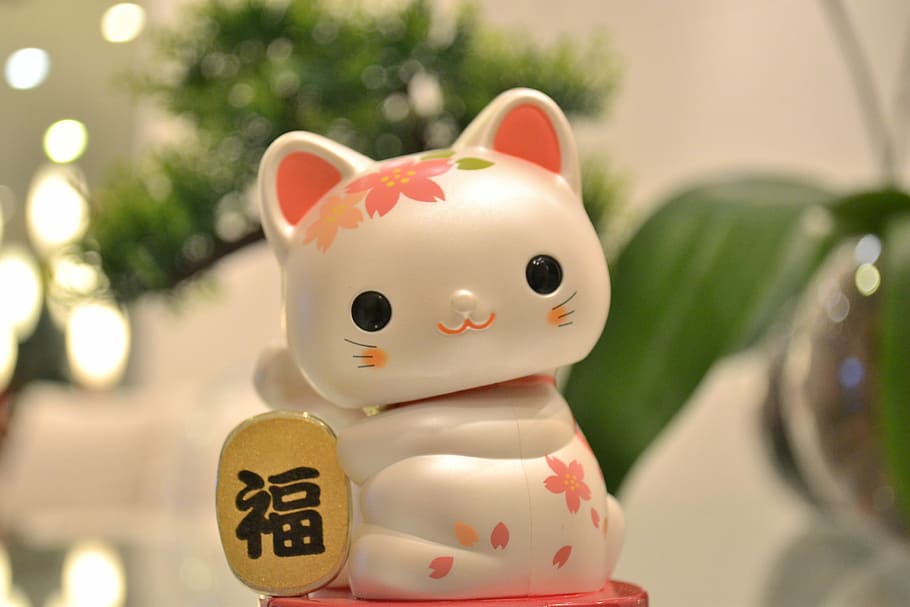 cat japanese, Maneki Neko, Cat, Japanese, Lucky, cat japanese lucky, japanese cat, japanese ornament, animal representation, piggy bank