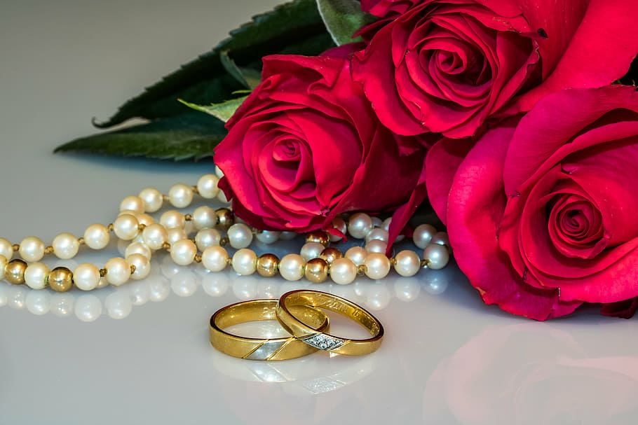 white, gold pearl necklace, two, gold-colored wedding bands, pink, roses, wedding rings, rings, gold rings, pearl necklace
