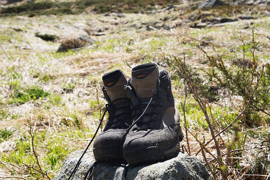boots, hiking shoes, shoes mountain, day, land, nature, animal themes, plant, field, animal