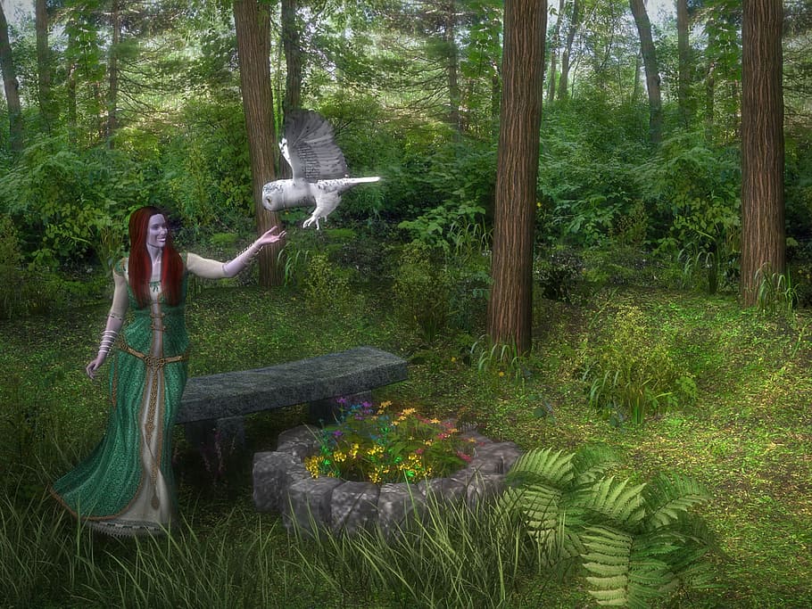 mujer, bosque, búho real, naturaleza, paisaje, magia, edad media, la bruja, árboles, 3d