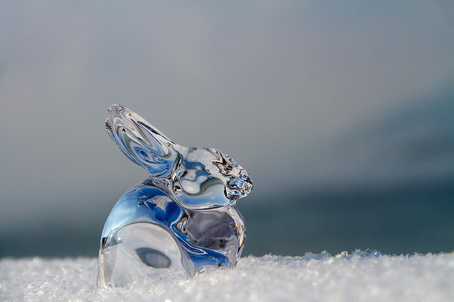 close, photography, crystal rabbit ornament, easter, hare, glass, easter bunny, figure, snow, glass figurines
