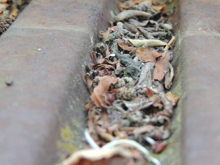 Roof, Dirt, Leaves, Old, Sheet, selective focus, day, outdoors, industry, close-up
