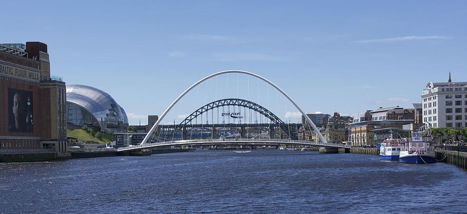 Tyne, puentes, Newcastle, norte, este, puentes tyne, hito, tyneside, río, puente