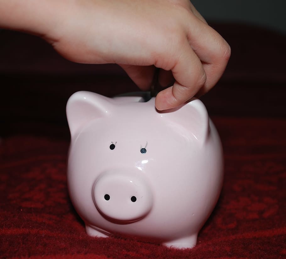 white, ceramic, pig bank, piggy bank, pig, savings, money, child, pink, investment