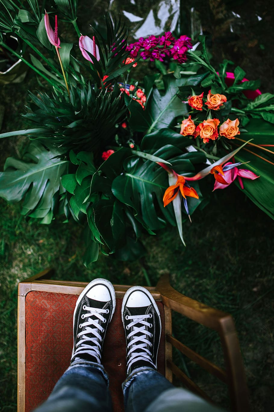 Colorful, Exotic, Flowers, Greenery, flora, leaf, leaves, tropical, multicolor, shoe
