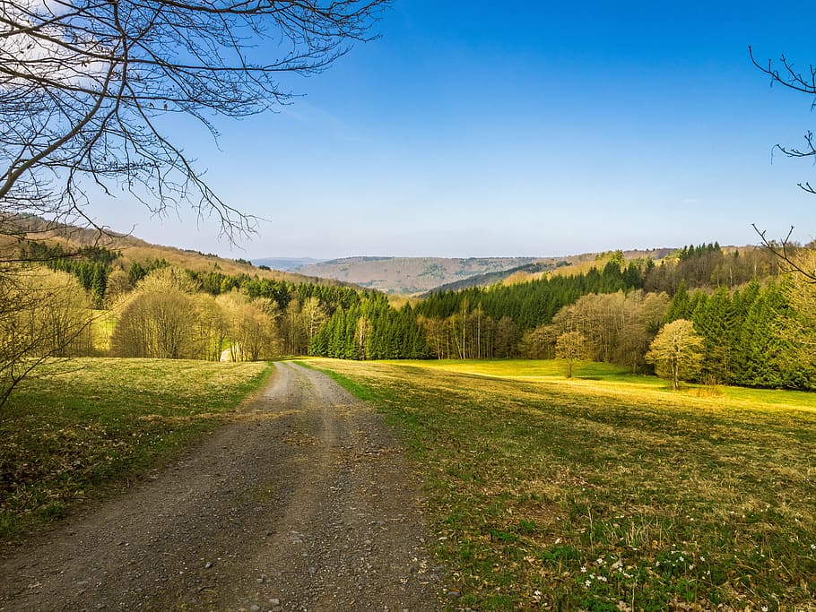 Landscape, Away, Spring, Nature, Sky, meadow, mood, field, trees, lane