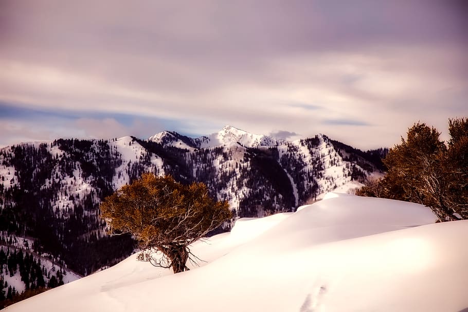 winter, snow, sky, clouds, mountains, nature, outdoors, landscape, ski slope, trees