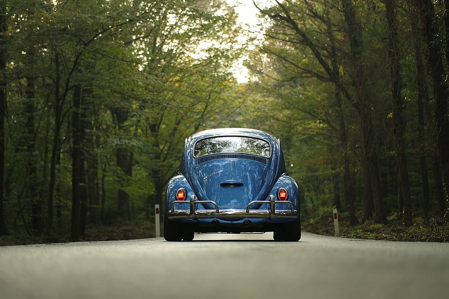 classic, blue, volkswagen beetle coupe, concrete, road, trees, car, classic car, forest, outdoors