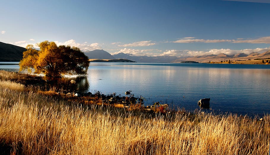 Tarde, lago Tekapo, Nueva Zelanda, cuerpo de agua, casas, observación, montaña, cielo, día, agua
