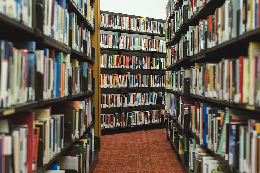 banyak buku, buku, penelitian, perpustakaan, rak, baca, pengetahuan, kutu buku, sekolah, pendidikan