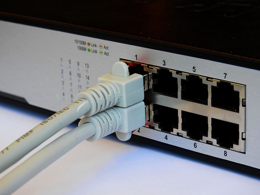 foto em close-up, preto, modem, switch, rede, processamento de dados, ethernet, conexão, dados, patch cable