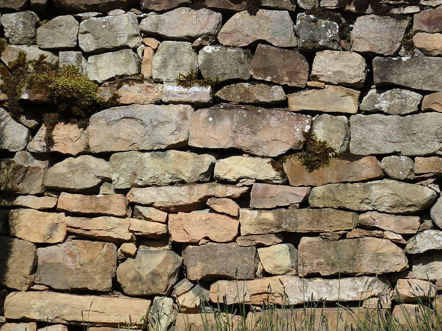 nature wall, sunlit wall, busy wall, backgrounds, full frame, wall, textured, solid, pattern, stone wall