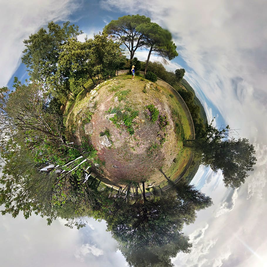 Fotografi 360 derajat, hutan, planet, hijau alami, bumi, ekologi, lingkungan, eko, alami, desain