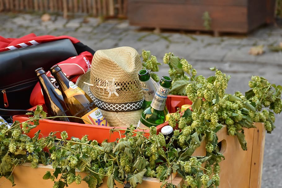 brown, cowboy hat, bottles, box, cart, stroller, beer, beer bottles, hops, drinking beer