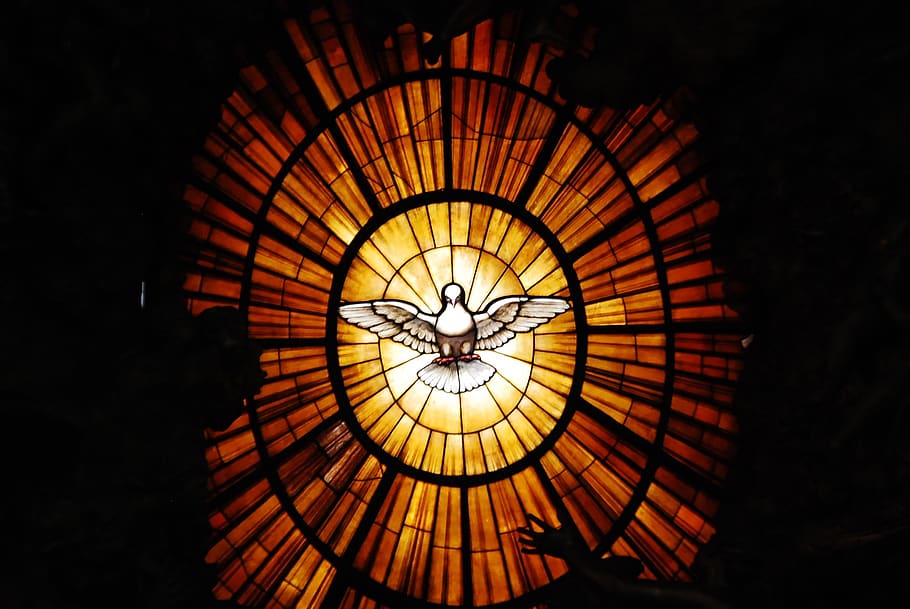 the vatican, dove of peace, vatican, rome, peace, spiritual, illuminated, architecture, pattern, indoors