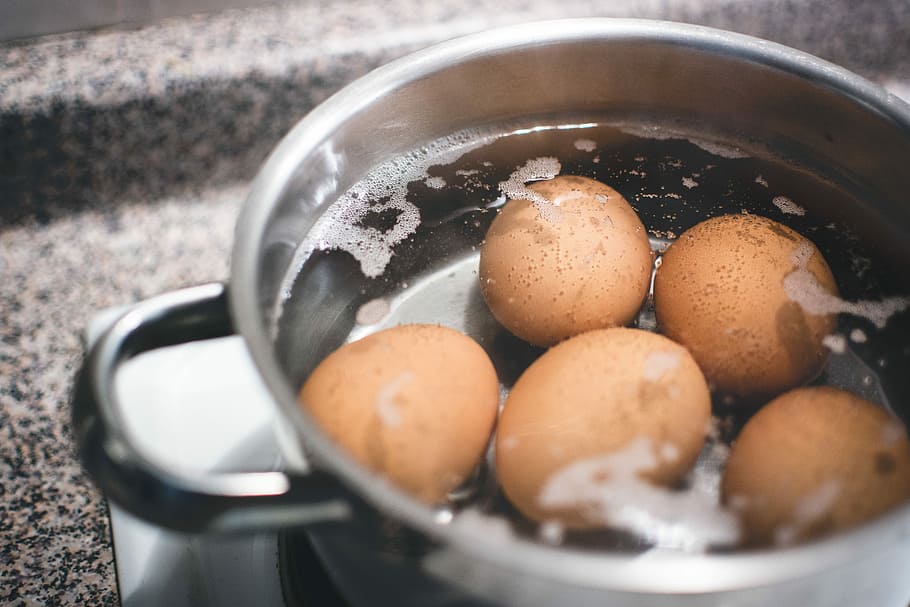 кипячение яиц, Варка, яйца, приготовление пищи, яйцо, дом, кухня, посуда, еда, кастрюля