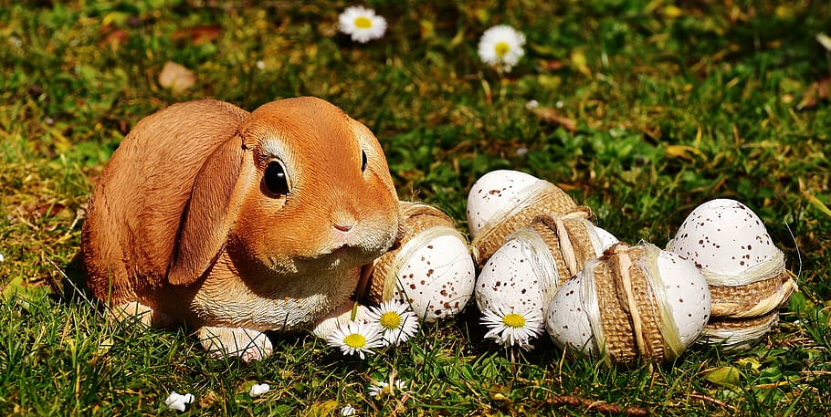 brown, ceramic, rabbit figurine, white, chamomiles, daytime, easter, easter bunny, egg, easter eggs