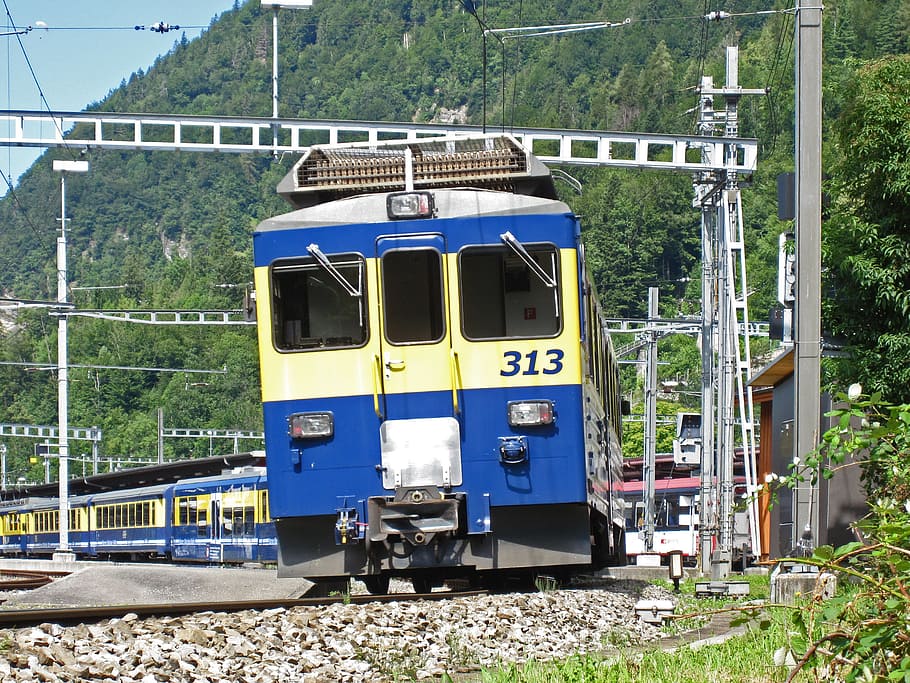 rail- cars, the bernese oberland railway, exit interlaken ost, curve, tilt, bob, transport system, travel, train, electrical multiple unit