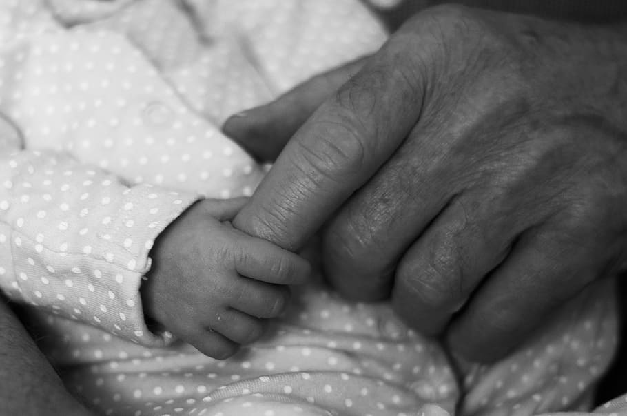 abuelos, nuevo bebé, manos, nieto, infante, amor, bebé, mano, pacífico, familia