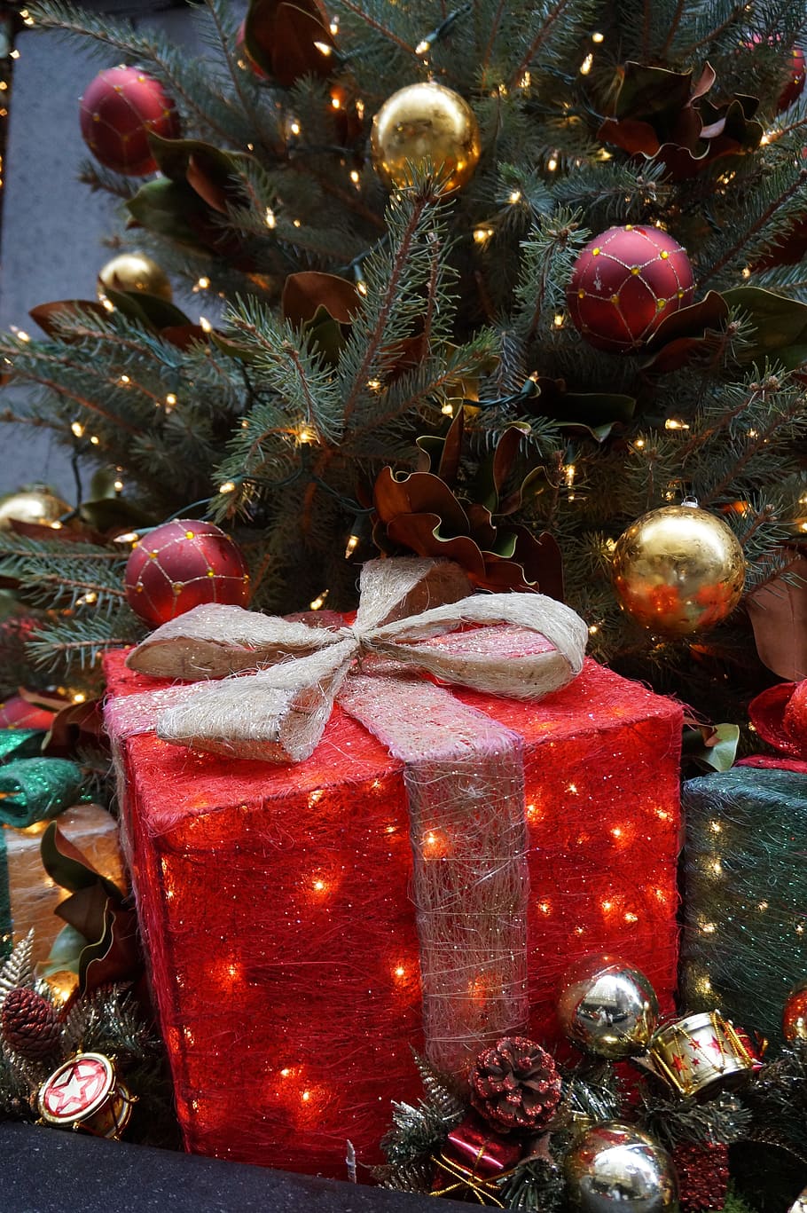 merah, hadiah, di samping, hijau, pohon natal, natal, musim dingin, new york, dekorasi natal, liburan