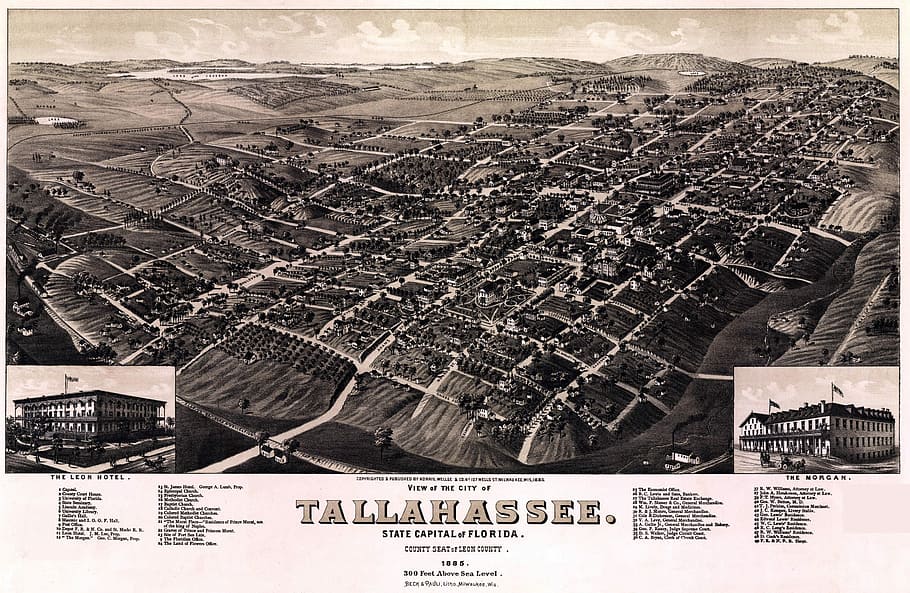 tallahassee cityscape, 1885, Tallahassee, Cityscape, Florida, photos, landscape, public domain, United States, vintage