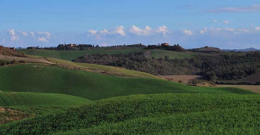 val d'arbia, siena, italy, landscape, agriculture, nature, rural Scene, hill, farm, europe