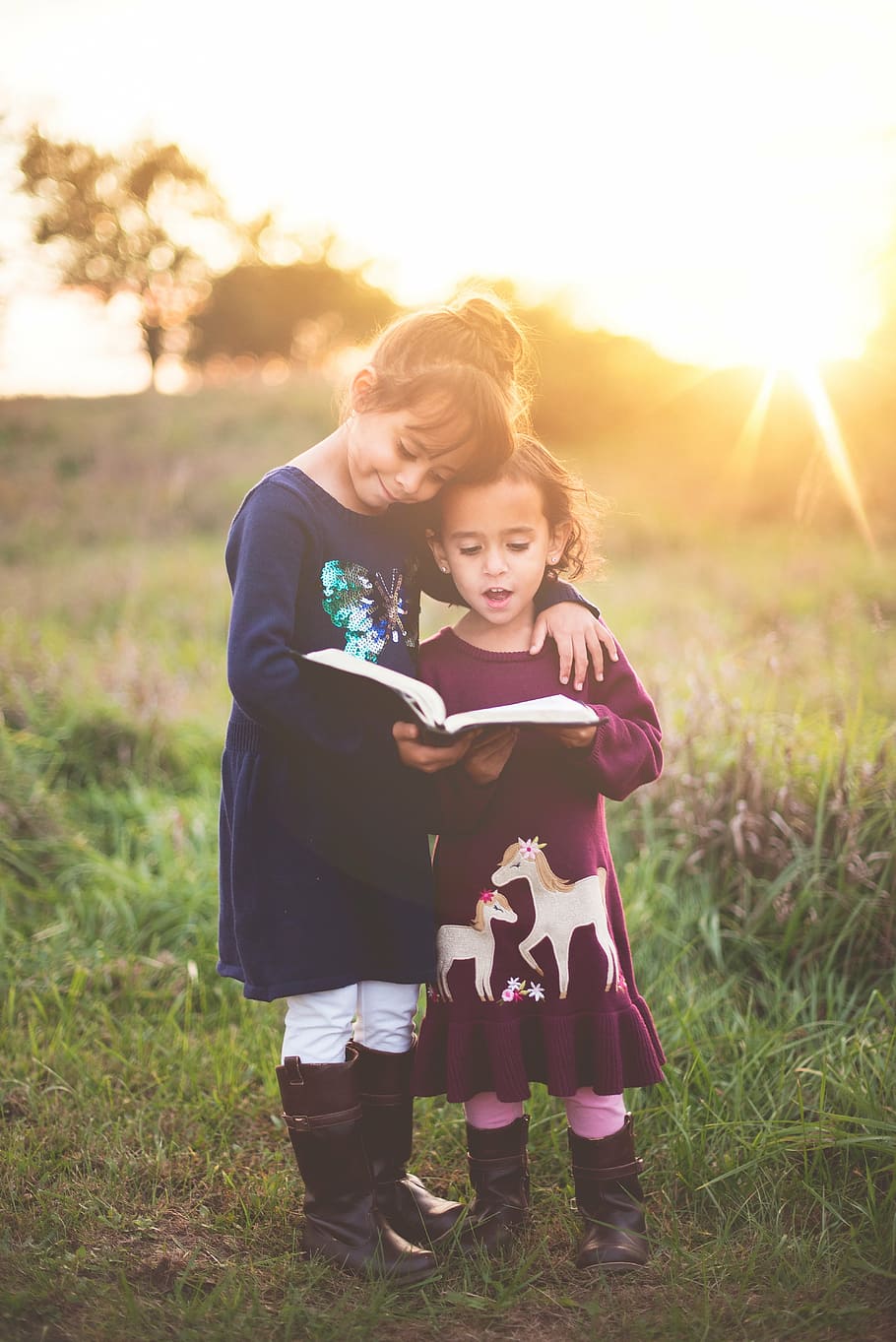 dua, anak perempuan membaca buku, anak-anak, membaca, buku, matahari terbit, sinar matahari, matahari terbenam, rumput, pohon