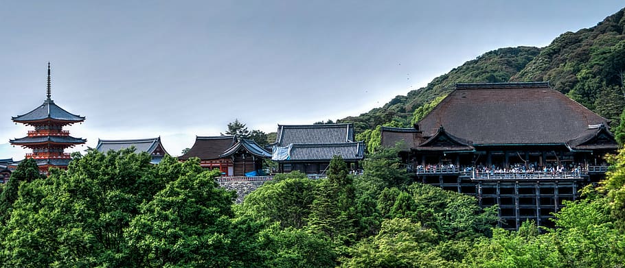 hijau, berdaun, pohon, siang hari, kiyomizu-dera, kuil, kyoto, jepang, asia, tengara
