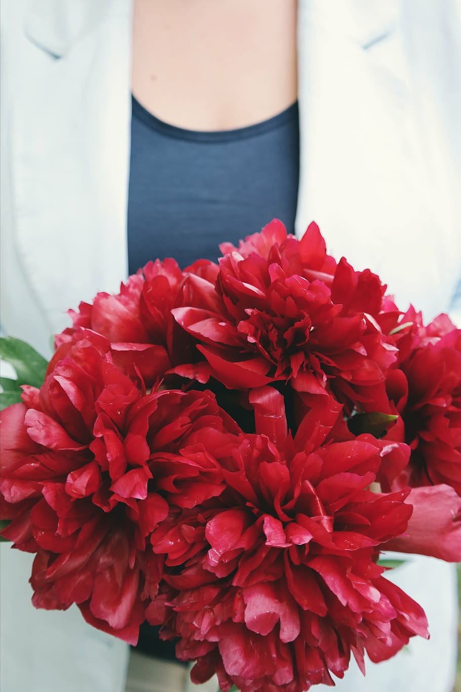 woman, holding, red, peony flowers bouquet, people, chest, flower, petals, bouquet, women