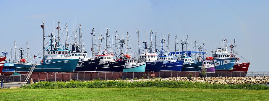Boats, Dry Dock, Fishing, Boat, fishing boats, fishing, boat, dock, dry, shippagan, new brunswick